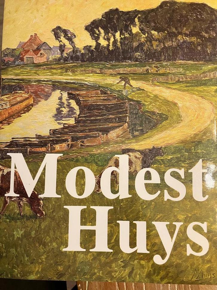 Monographie d'art de Modest Huys, Livres, Art & Culture | Arts plastiques, Neuf, Peinture et dessin, Enlèvement ou Envoi