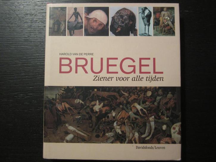 Bruegel -Ziener voor alle tijden- Harold Van de Perre, Boeken, Kunst en Cultuur | Beeldend, Ophalen of Verzenden
