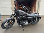 Harley davidson iron 883 1200, Motoren, 2 cilinders, Particulier, Meer dan 35 kW, 1200 cc