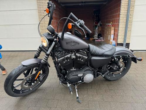 Harley davidson iron 883 1200, Motoren, Motoren | Harley-Davidson, Particulier, Chopper, meer dan 35 kW, 2 cilinders, Motorrijbewijs A