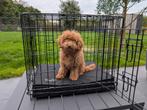 bench/kennel voor kleine honden of puppy, Ophalen, Zo goed als nieuw