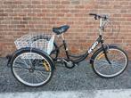 3 - wielfiets volwassen, driewieler, Fietsen en Brommers, Ophalen, Gebruikt, ENERO, Verstelbare zitting