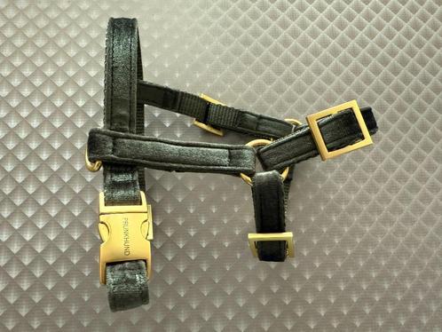 Moss harnas Prunkhund (maat S), Dieren en Toebehoren, Honden-accessoires, Nieuw, Ophalen of Verzenden
