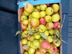 Pomme  Jonagold, Diversen, Levensmiddelen, Ophalen