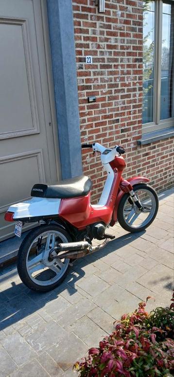 Honda wallaroo B-klasse beschikbaar voor biedingen