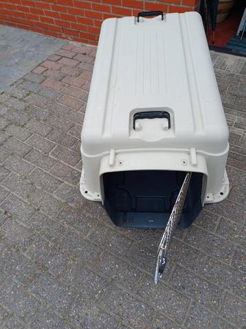 Transportbox dieren beschikbaar voor biedingen