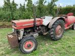 Massey Ferguson 135 Oldtimer tractor, Oldtimer, Massey Ferguson