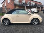VW Beetle 1.6 essence BJ2007 KM169 000 Premier propriétaire, Autos, Volkswagen, Cuir, Entreprise, Boîte manuelle, Coccinelle