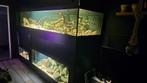 Aquarium stelling, Dieren en Toebehoren, Ophalen, Gebruikt, Gevuld zoetwateraquarium