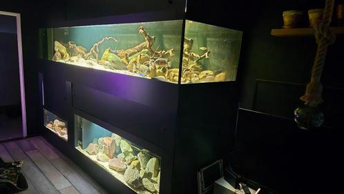 Aquarium stelling, Dieren en Toebehoren, Vissen | Aquaria en Toebehoren, Gebruikt, Gevuld zoetwateraquarium, Ophalen