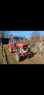 Massey ferguson 168 smalspoor, Zakelijke goederen, Ophalen, Massey Ferguson