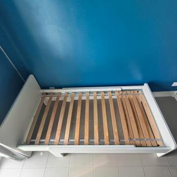 Släkt mee groei bed in goede staat. beschikbaar voor biedingen