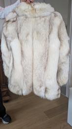 Korte witte Zilvervos., Kleding | Dames, Jassen | Winter, Ophalen, Zo goed als nieuw, Maat 38/40 (M), Wit