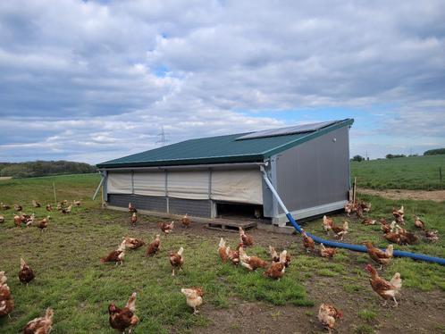 Poulailler Mobile, Zakelijke goederen, Landbouw | Onroerend goed, Pluimveebedrijf, tot 1 ha, Ophalen of Verzenden