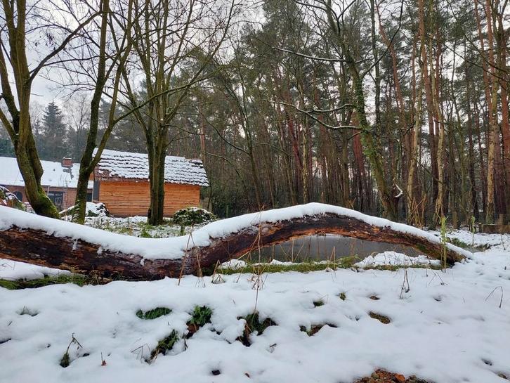 Tiny house, Caravans en Kamperen, Stacaravans, Ophalen of Verzenden