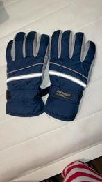 Ski handschoenen, Enlèvement, Porté, Gants