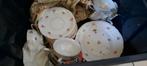 Servies, Antiek en Kunst, Ophalen