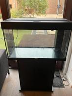 Juwel aquarium 80 cm, Dieren en Toebehoren, Ophalen, Gebruikt, Leeg aquarium