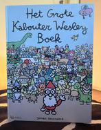 Geirnaert - Grote kabouter Wesley boek, Ophalen, Zo goed als nieuw, Geirnaert