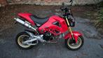 Honda MSX 125 Kitaco NEO 181, Particulier, 125 cm³