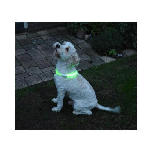 USB oplaadbare led verlichtingsbuis voor de hond, Hobby en Vrije tijd, Elektronica-componenten, Nieuw, Ophalen of Verzenden