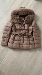 Donsjas lichtbruin - met kap en faux fur, Kleding | Dames, Ophalen, Nieuw