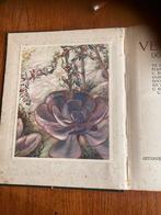 Heel mooi geïllustreerd boek over vetplanten. 1932, Boeken, Ophalen