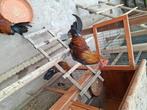 Bassette haantje, Dieren en Toebehoren, Pluimvee, Mannelijk, Kip
