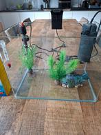 Aquarium compleet, Dieren en Toebehoren, Vissen | Aquaria en Toebehoren, Ophalen, Nieuw, Gevuld zoetwateraquarium