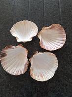 Schelpen voor coquilles, Maison & Meubles, Cuisine | Vaisselle, Enlèvement