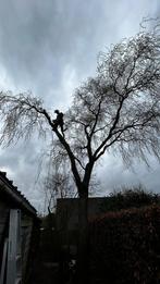 Vellen en snoeien van alle bomen, Tuin en Terras, Ophalen of Verzenden