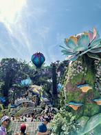 GEZOCHT! 2x Friendship Garden W1 Tomorrowland, Tickets en Kaartjes, Twee personen