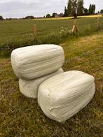 Top kwaliteit voordroog, Dieren en Toebehoren, Paarden