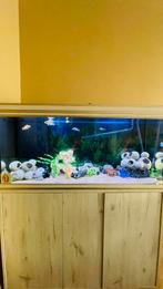 Prachtig aquarium  te koop, Dieren en Toebehoren, Vissen | Aquaria en Toebehoren, Zo goed als nieuw, Ophalen, Gevuld zoetwateraquarium