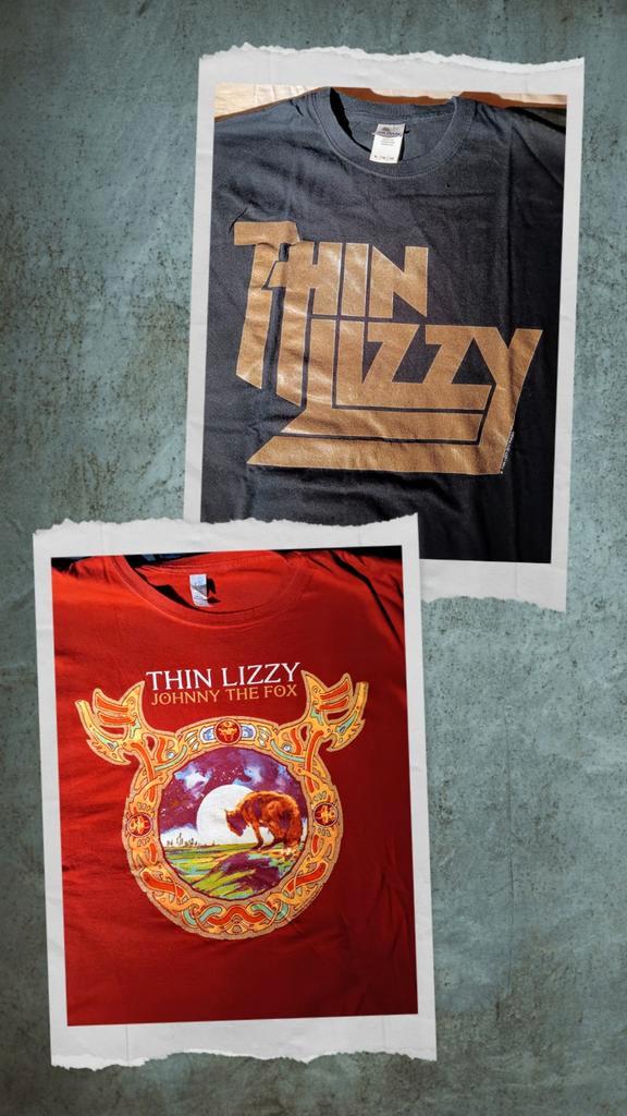 Honderden t-shirts rock en heavy-metal, Kleding | Heren, T-shirts, Ophalen of Verzenden