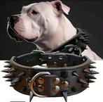 Nieuw, Dieren en Toebehoren, Ophalen