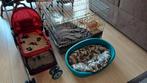 Bench/Buggy/Mand, Dieren en Toebehoren, Honden-accessoires, Ophalen, Zo goed als nieuw