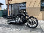 Harley vrod muscle vrscf airride, Motoren, Motoren | Harley-Davidson, 2 cilinders, Particulier, 1250 cc