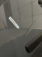 Renault Master voorportier links grijs 801017005R, Auto-onderdelen, Gebruikt, -, -, Ophalen of Verzenden