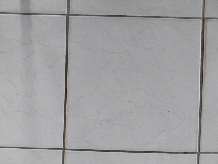 GEZOCHT. Gail vloertegel  nr 67.  31 cmx31cm, Doe-het-zelf en Bouw, Tegels, Zo goed als nieuw, Ophalen