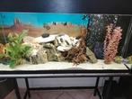 Aquarium, Animaux & Accessoires, Utilisé