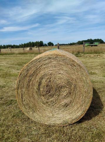 Boule de foin