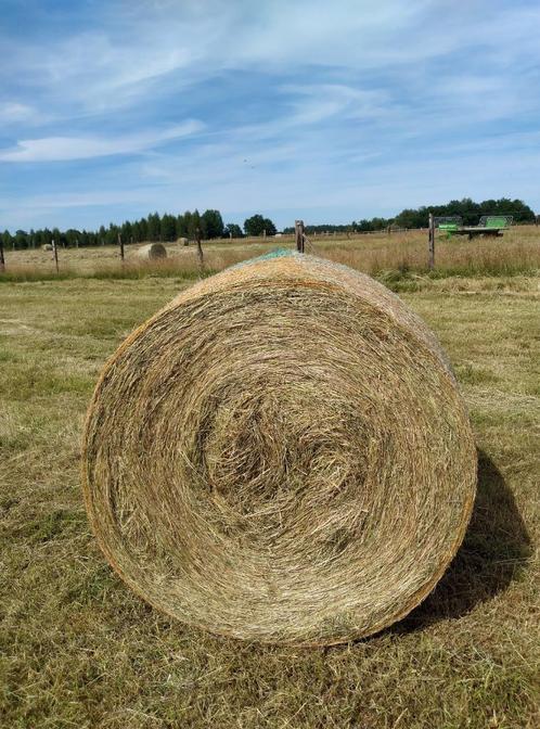 Boule de foin, Articles professionnels, Agriculture | Aliments pour bétail, Enlèvement