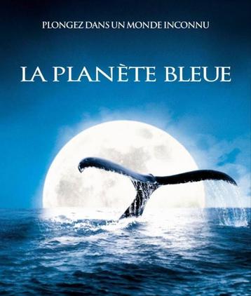 The Sharks - Videodocumentaires beschikbaar voor biedingen