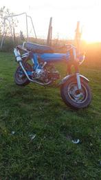 Dax 50cc, Ophalen, Zo goed als nieuw