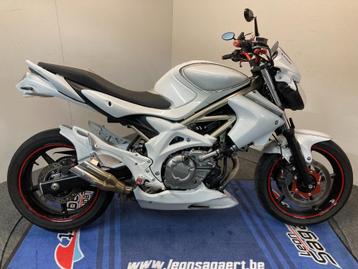 Suzuki SFV 650 Gladius année 2009 réf. LS 2649, Entreprise, Plus de 35 kW, 2 cylindres, 650 cm³