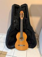 Gitaar + gitaarkoffer, Ophalen