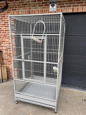 Papegaaienkooi super stevig !!  beschikbaar voor biedingen