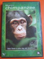 Chimpanzé (DISNEY), CD & DVD, DVD | Documentaires & Films pédagogiques, Tous les âges, Enlèvement ou Envoi, Comme neuf, Nature