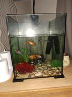 Aquarium, Enlèvement, Utilisé